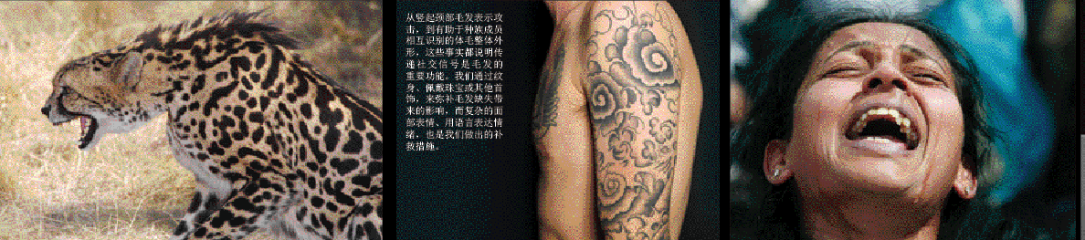 “赤裸”的真相 (5).png