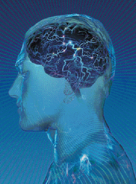 1511792260301579.png