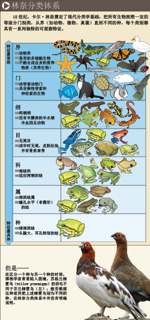三百年的糊涂账 (2).png