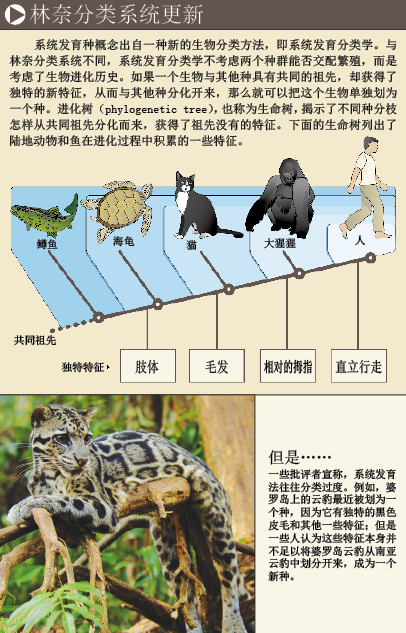 三百年的糊涂账 (4).png