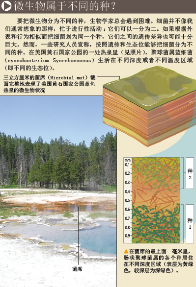 三百年的糊涂账 (5).png