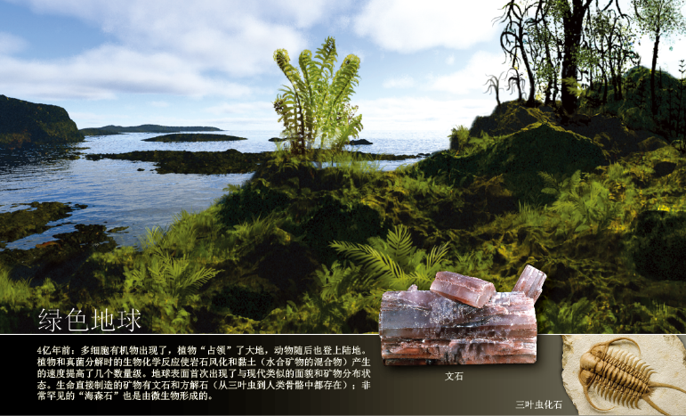 矿物的进化 (6).png