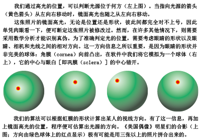 真伪鉴定 (3).png
