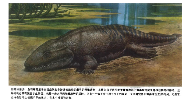 登上陆地第一步 2.png