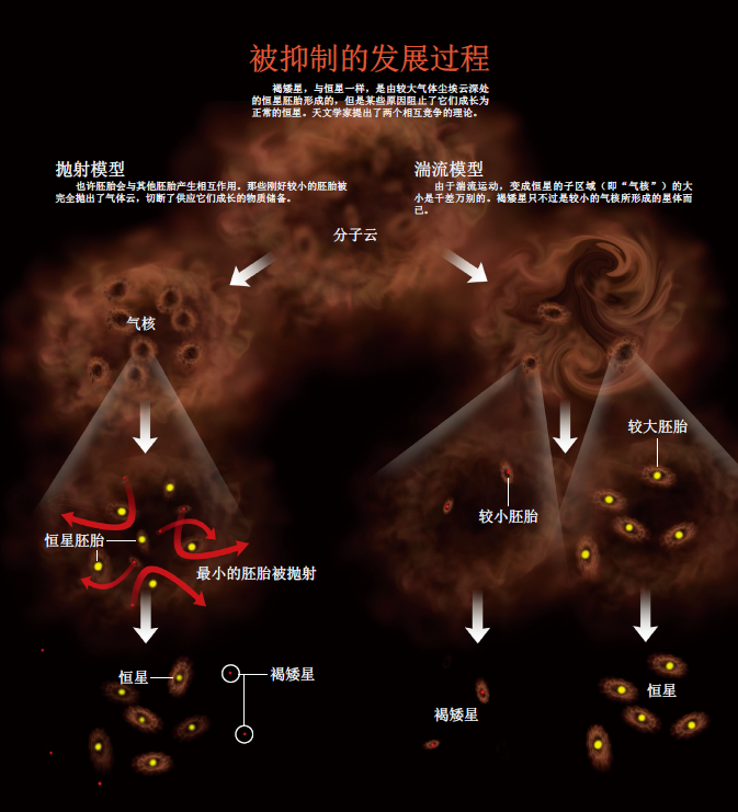 流产的恒星：追寻褐矮星身世之谜 (2).png