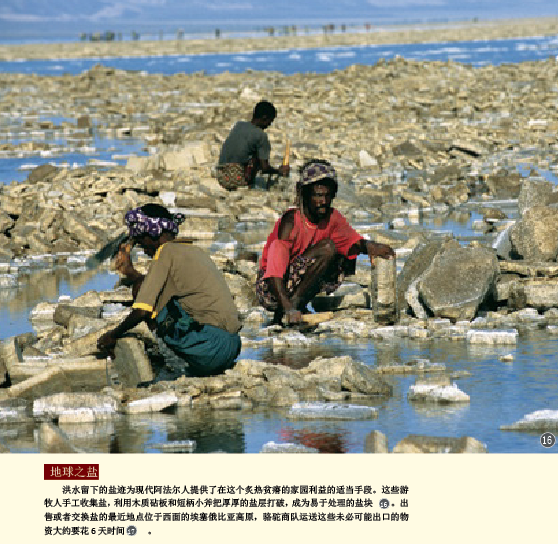 海洋 (1).png