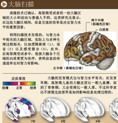 谁决定了你的智力 (3).png
