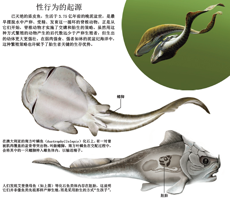 谁最先享受了鱼水之欢1.png