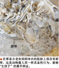 谁最先享受了鱼水之欢2.png