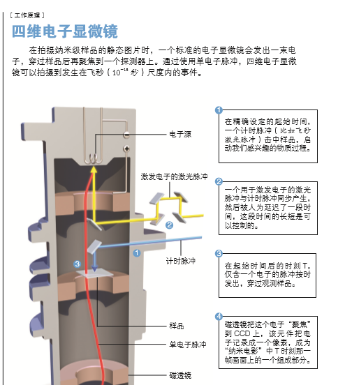 原子主演的4D电影 2.png