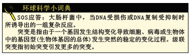 抗生素耐药性 (3).png