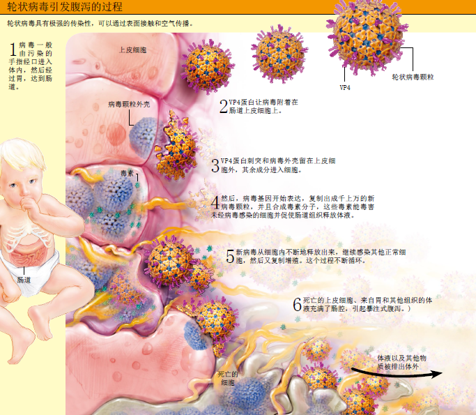 让致命腹泻远离儿童 (5).png