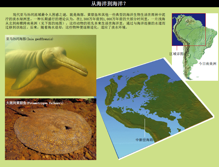 穿越amazon (2).png