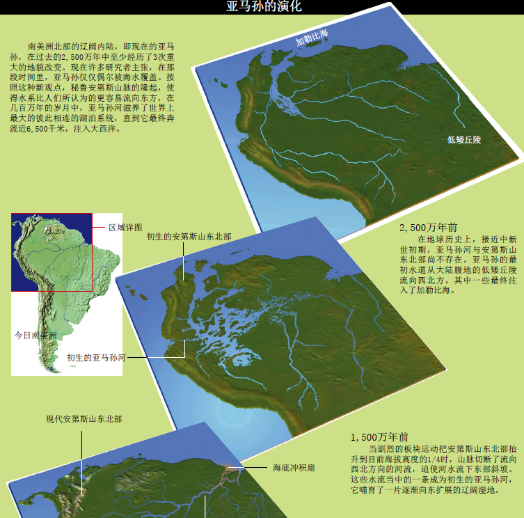 穿越amazon (4).png