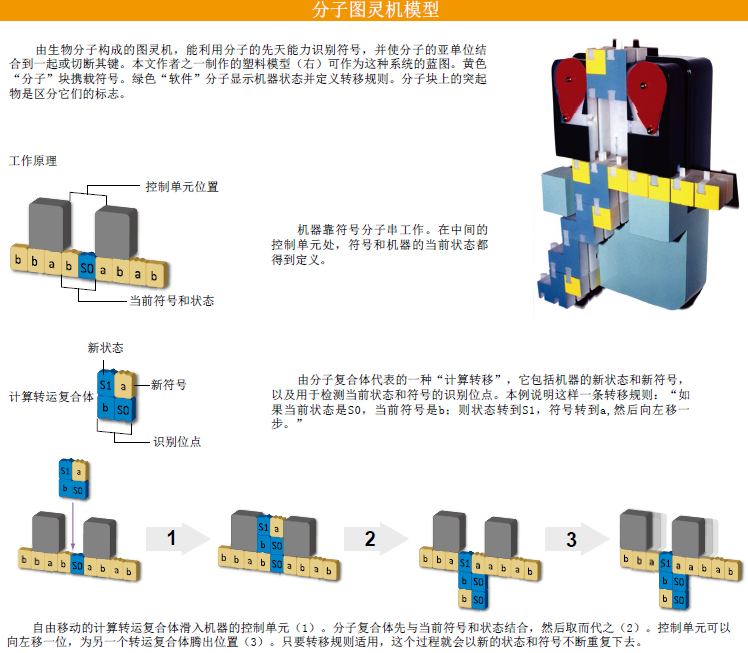 深入细胞的医生 (2).png