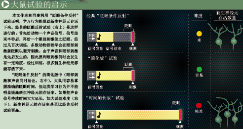 拯救新生脑细胞 (4).png
