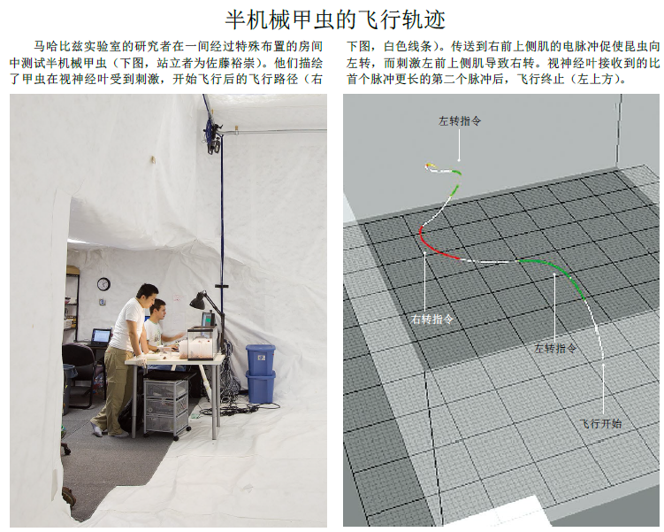 用活甲虫打造机器人3.png