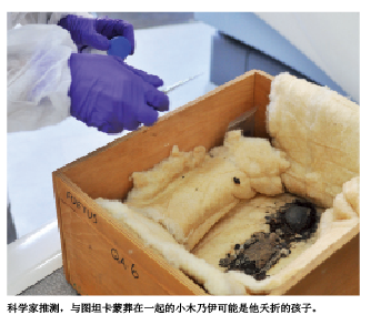 法老的DNA悬案.png