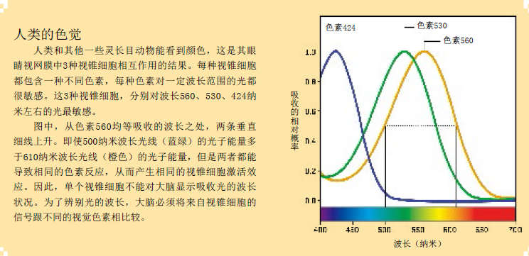 看世界：更缤纷 的色彩 (5).png