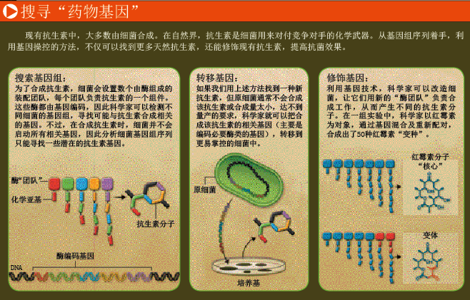 谁能抵御超级耐药菌？ (4).png