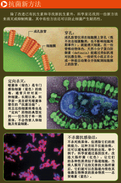 谁能抵御超级耐药菌？ (5).png