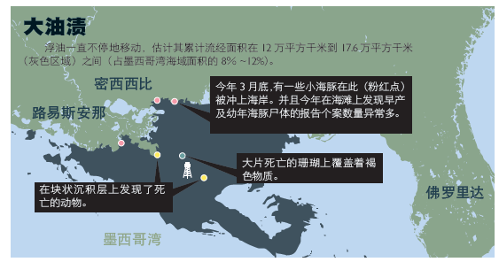 墨西哥湾漏油事件：灾难下潜2.png