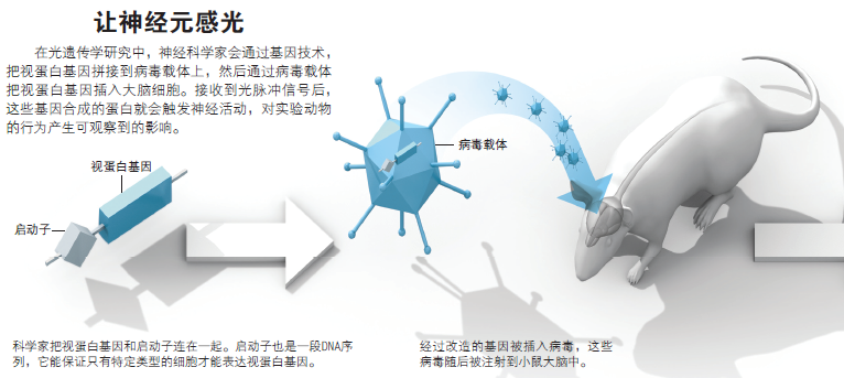 光控大脑2.png