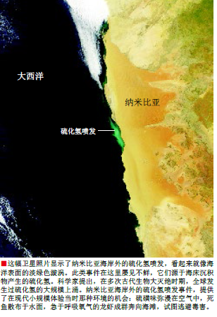生物大灭绝真凶 (2).png