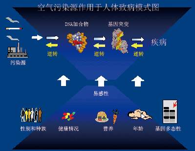 调查手记：远离空气污染的儿童 (1).png