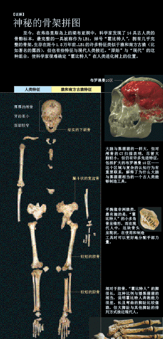 改写人类进化史 (1).png