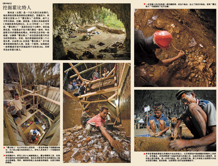 改写人类进化史 (2).png