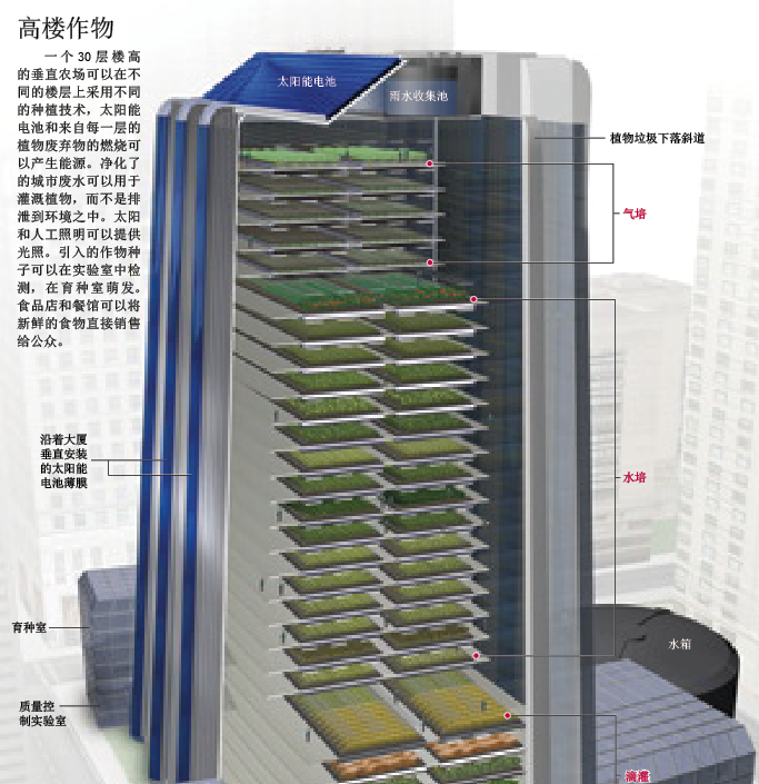 在摩天大楼里种粮食 (3).png