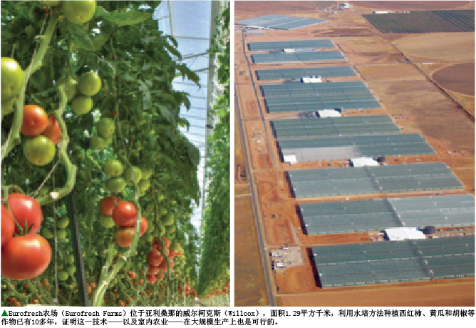 在摩天大楼里种粮食 (4).png