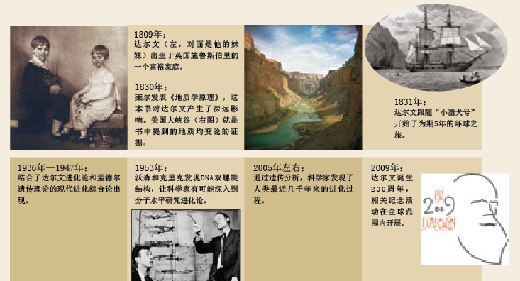 达尔文的进化路 (3).png