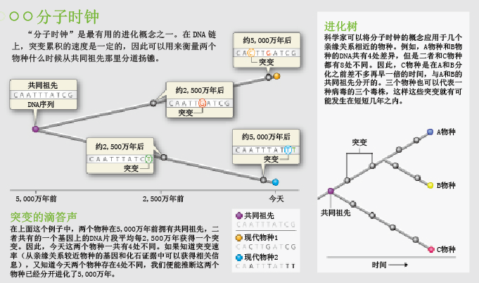 进化论的扩张 (1).png