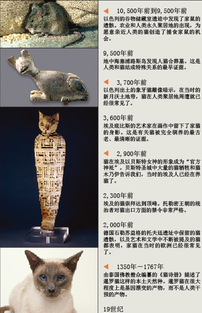 人类被猫“驯化”的历史 (2).png