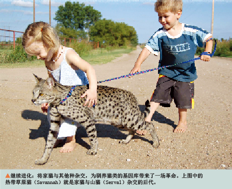 人类被猫“驯化”的历史 (4).png