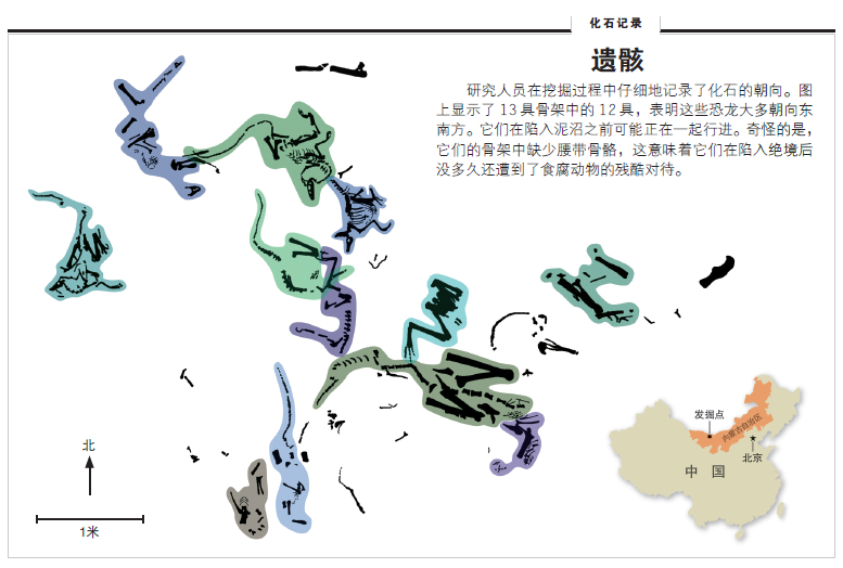 恐龙的死亡陷阱2.png