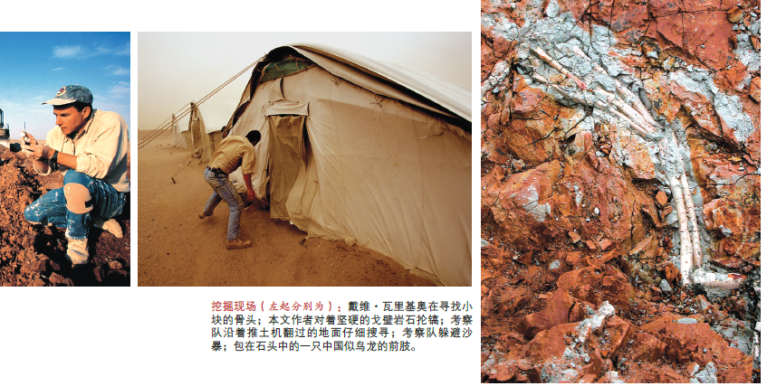恐龙的死亡陷阱4.png