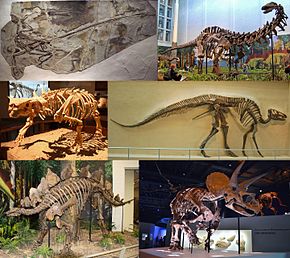 Dinosauria_montage_2.jpg