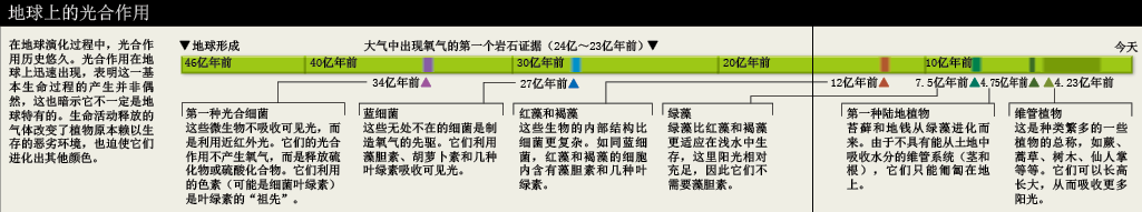 外星植物的诡异色彩 (2).png