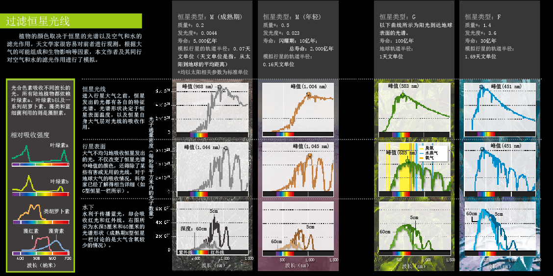 外星植物的诡异色彩 (4).png