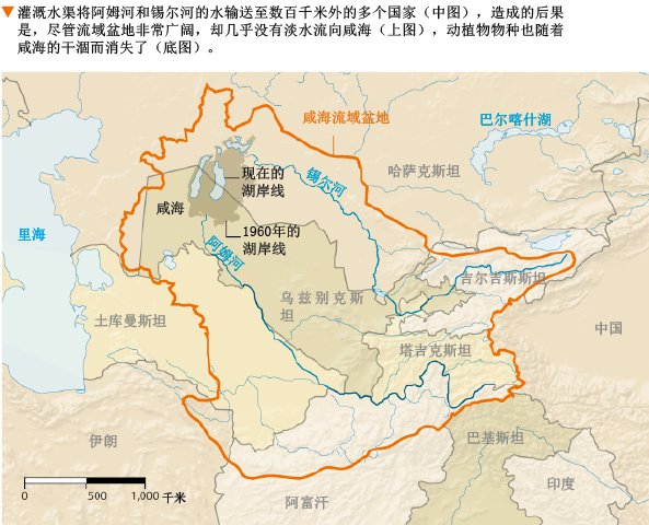 咸海归来 (3).png