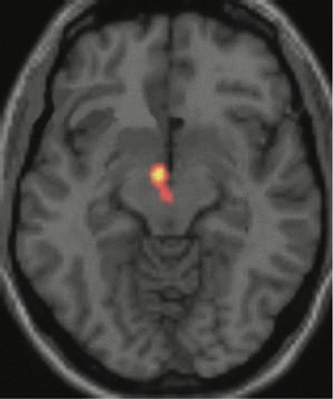 1512193397674264.jpg