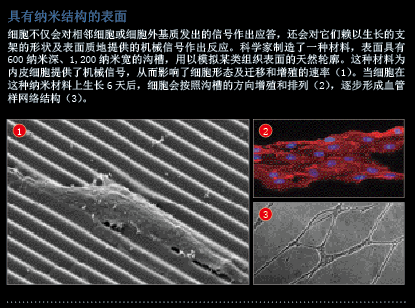 用你的细胞定制器官 (2).png