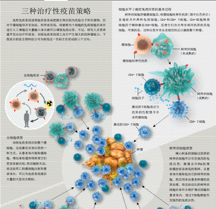 癌症疫苗点燃新希望2.png