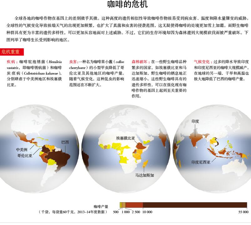 咖啡危险了.jpg