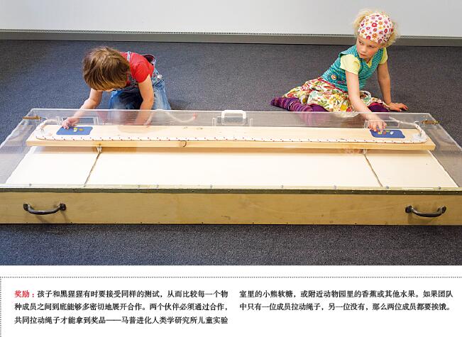分工：人类崛起的关键.jpg