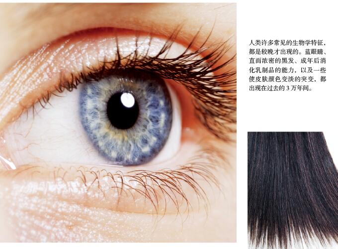 人类加速进化？1.jpg