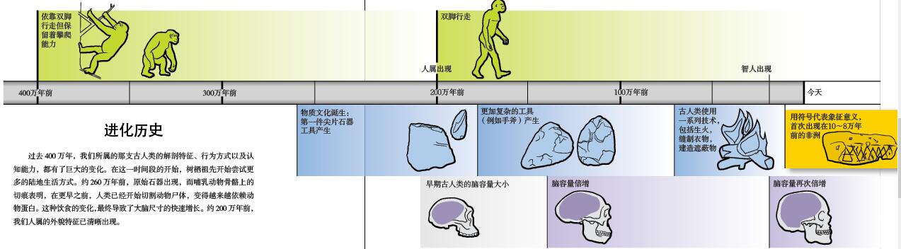现代人起源于偶然事件？.jpg